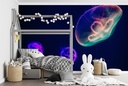 Multi Colour Jellyfish Wall Mural Wallpaper