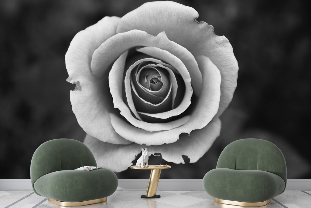 Black & White Rose Flower Wall Mural Wallpaper