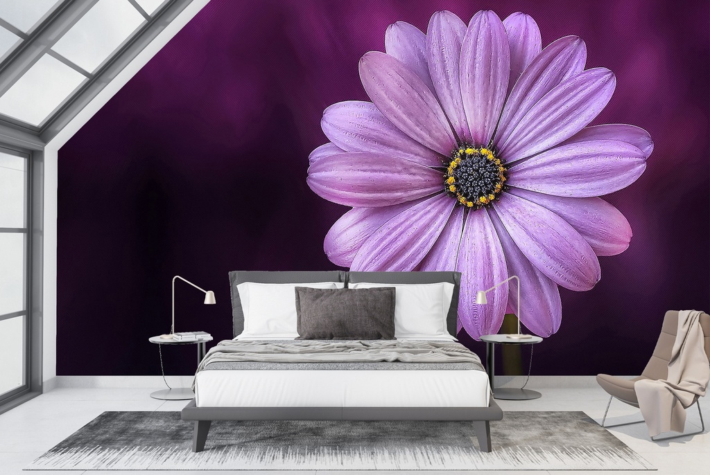 Purple Daisy Flower Wall Mural Wallpaper