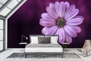 Purple Daisy Flower Wall Mural Wallpaper