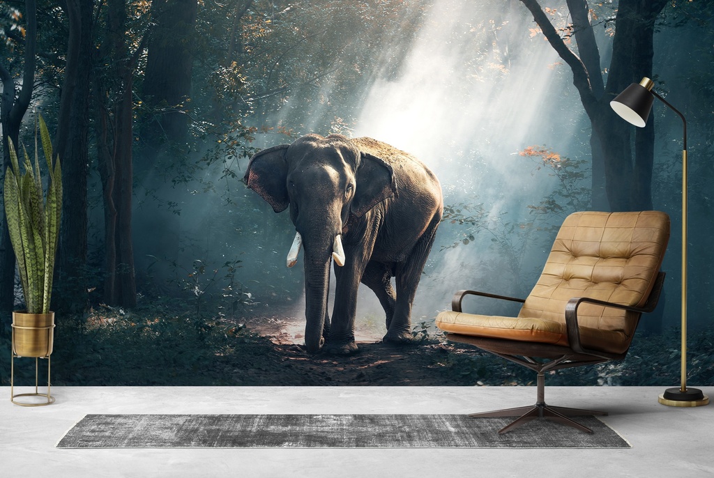 Elephant In The Forest Wall Mural Wallpaper