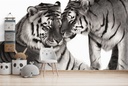 Tiger Nuzzle Wall Mural by Danguole