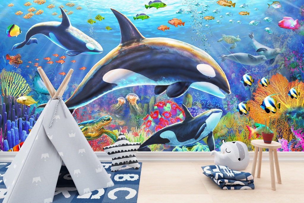Orca Fun Wall Mural by Adrian Chesterman