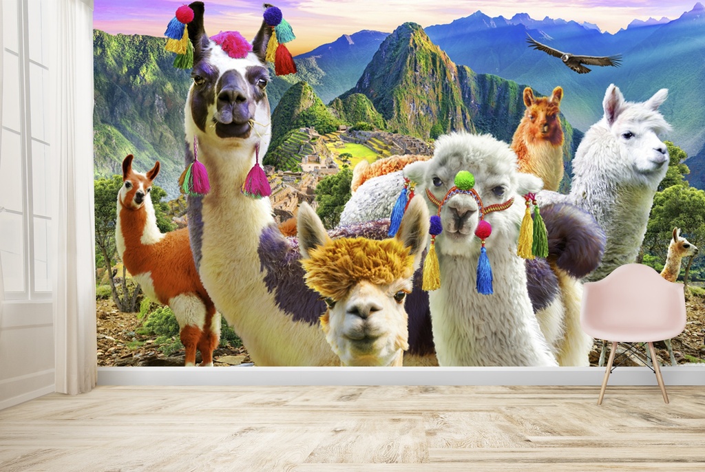 Mountain Llamas II Wall Mural by Adrian Chesterman