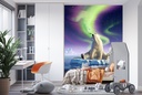 Arctic Kiss Wall Mural by Jerry Lofaro