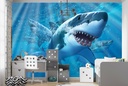 Great White Shark II Wall Mural by Jerry Lofaro