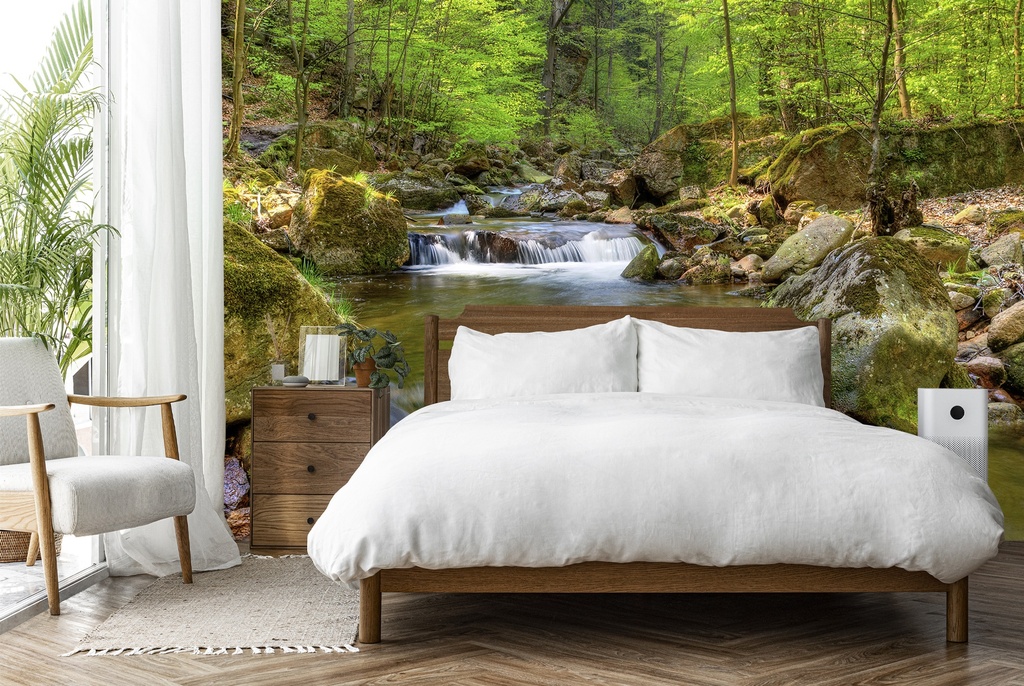 Spring at Hartz Mountain Wall Mural by Steffen Gierok