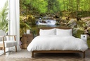 Spring at Hartz Mountain Wall Mural by Steffen Gierok