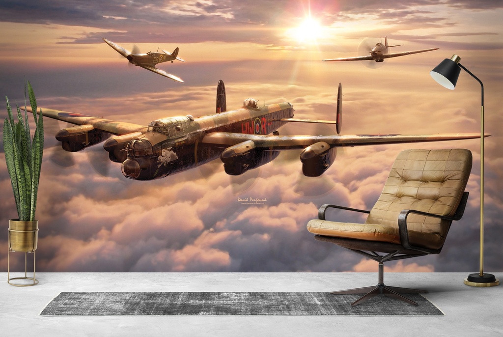 Memorial Flight Wall Mural by David Penfound | Icon Wall Stickers
