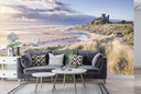 Bamburgh Castle Sunrise Wall Mural by Francis Taylor
