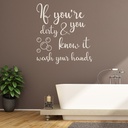 If You're Dirty & You Know It Wash Your Hands Wall Sticker