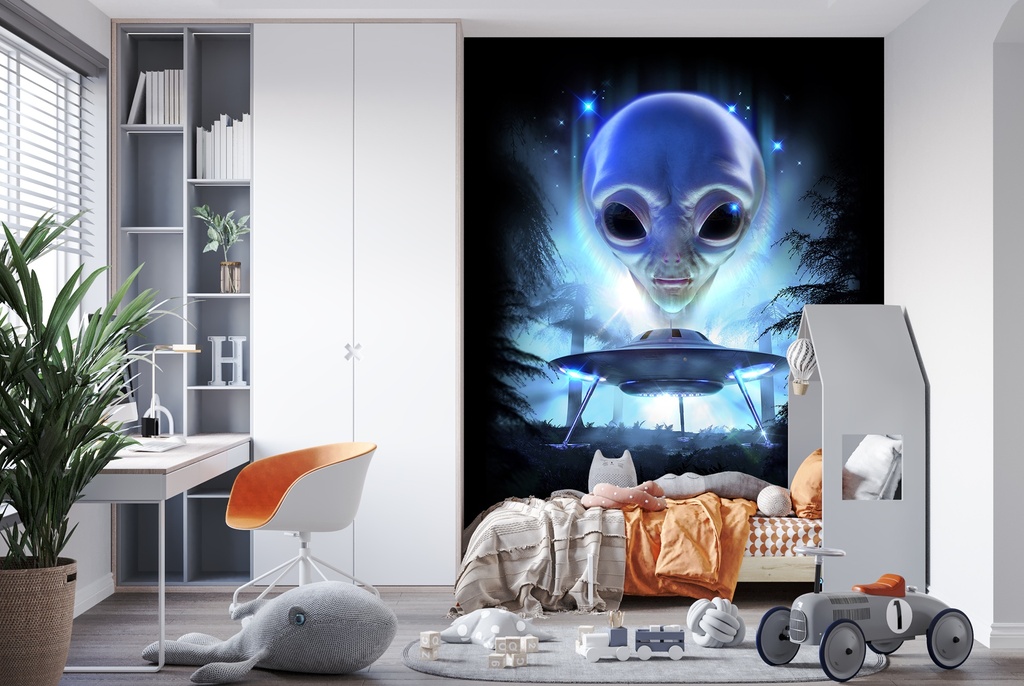Alien Landing Wall Mural by David Penfound | Icon Wall Stickers