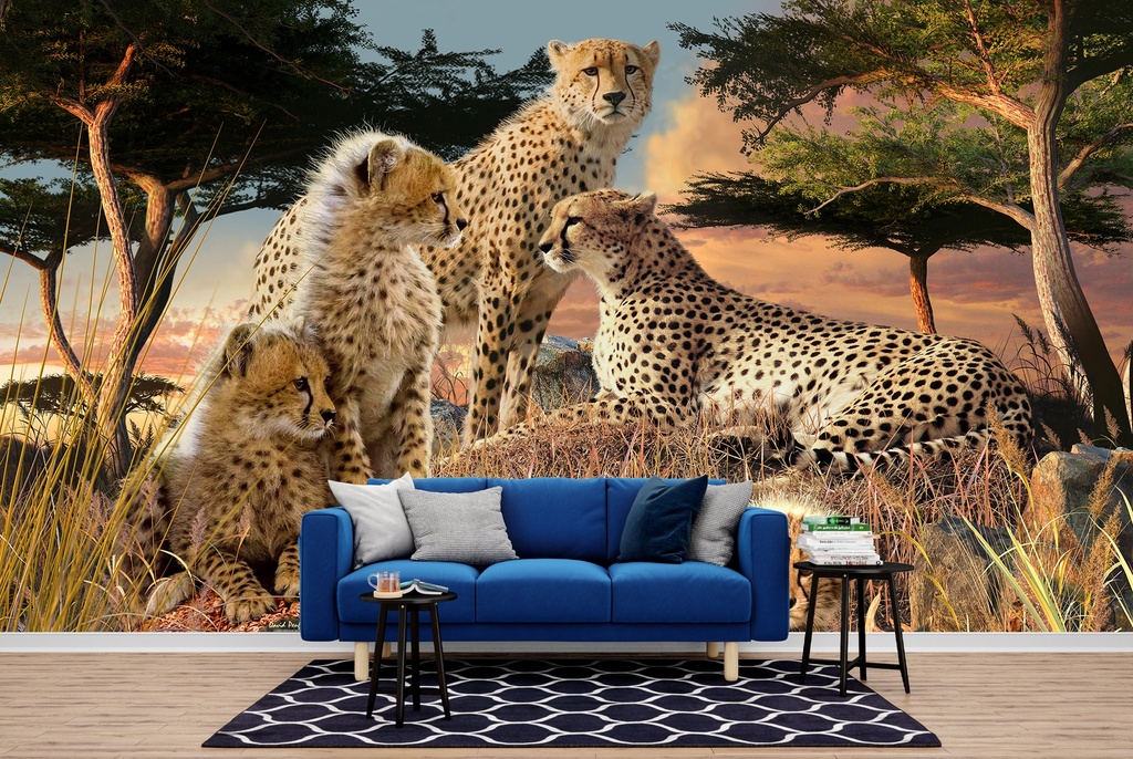 Cheetah Family Wall Mural by David Penfound