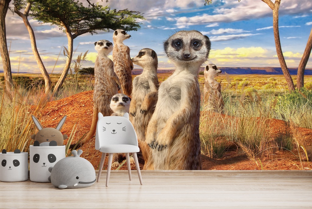 Meerkat Family Wall Mural by David Penfound