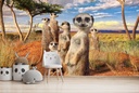 Meerkat Family Wall Mural by David Penfound