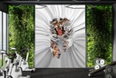 Tiger Breakthrough Wall Mural by David Penfound