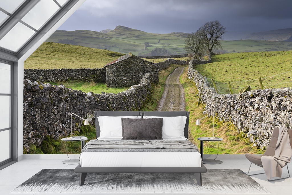 Goat Scar lane Wall Mural by Andrew Ray