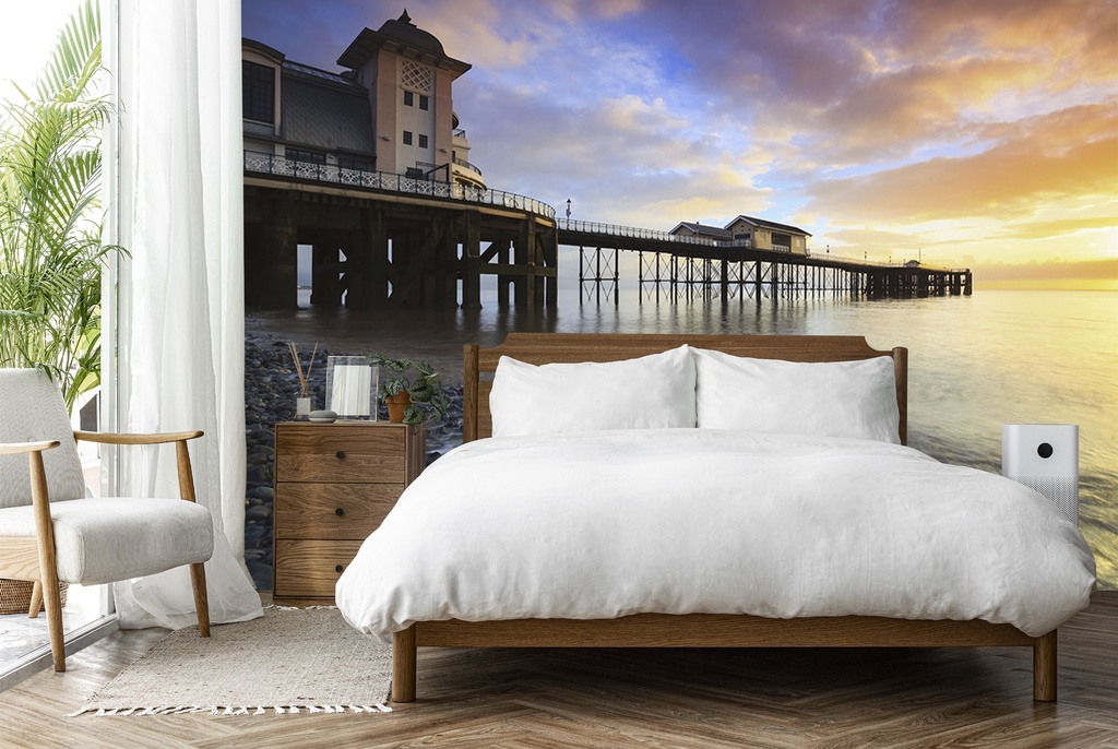 Penarth Sunrise Wall Mural by Andrew Ray