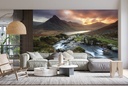 Towards Tryfan Wall Mural by Andrew Ray