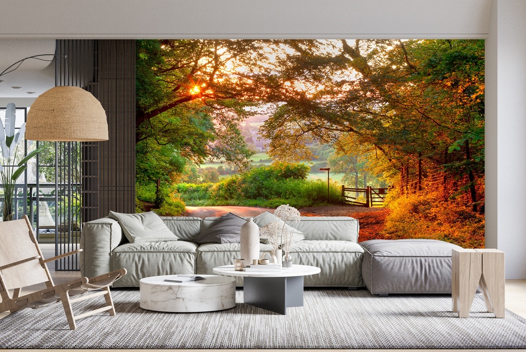 Country Lane at Sunset Wall Mural by Andrew Roland