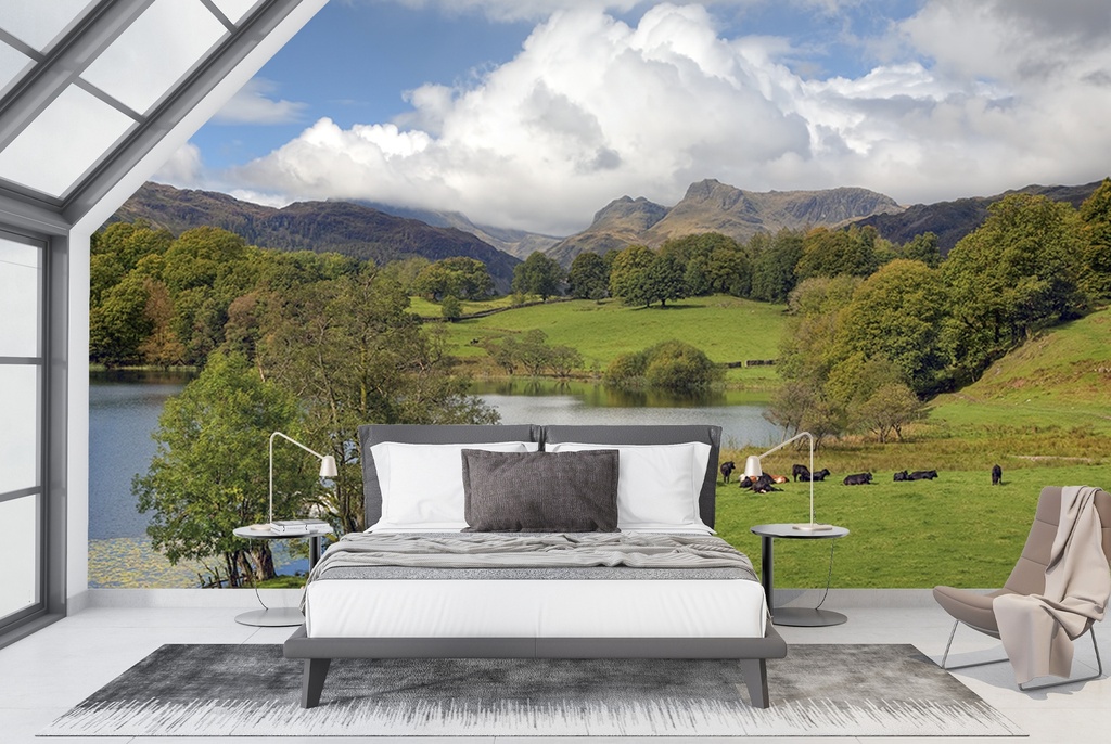 Loughrigg Tarn, Lake District Wall Mural by Andrew Roland