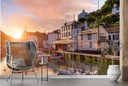 Polperro Harbour Wall Mural by Andrew Roland