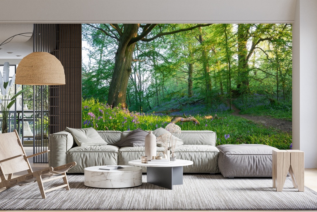 Spring Wood Wall Mural by Andrew Roland