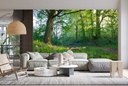 Spring Wood Wall Mural by Andrew Roland