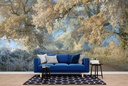 Winter Frost Wall Mural by Andrew Roland