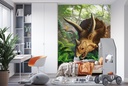 Triceratops Wall Mural by Jerry Lofaro