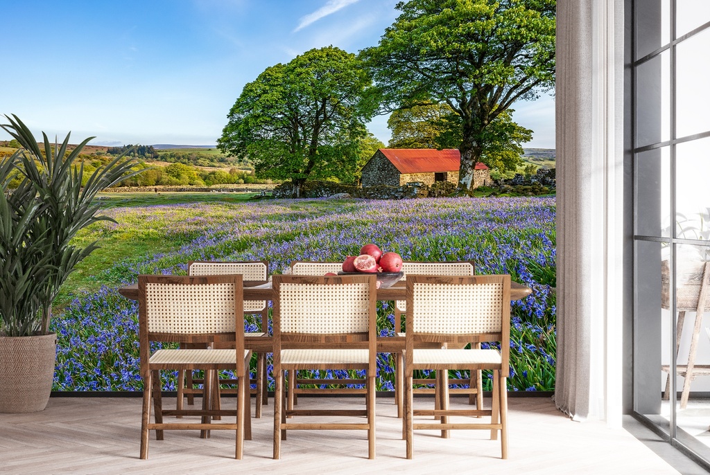 Emsworthy Barn, Dartmoor Wall Mural by Gary Holpin