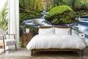 River Avon Rocks Wall Mural by Gary Holpin