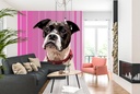 Daisy Dog Wall Mural by Jo Thompson