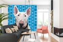 David Wall Mural by Jo Thompson