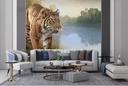 Tiger by the River Wall Mural by Chris Vest
