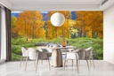 Colorado Autumn Wall Mural by Chris Vest