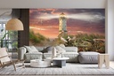 Last Light Wall Mural by Steve Hunziker