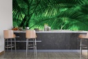 Sunkissed Palms Wall Mural by Don Schwartz