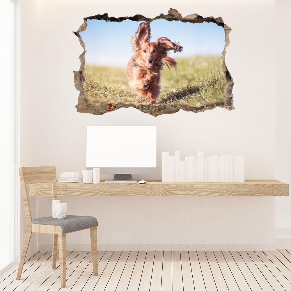 Dachshund Dog 3D Hole In The Wall Sticker
