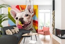 Rainbow Party Wall Mural by Lucia Heffernan