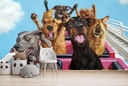 Thrill Seekers Wall Mural by Lucia Heffernan