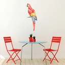 Scarlet Macaw Parrot Tropical Bird Wall Sticker