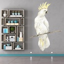 White Cockatiel Tropical Bird Wall Sticker