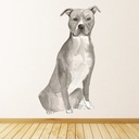 American Staffordshire Terrier Dog Wall Sticker