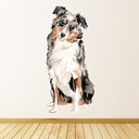 Australian Shepherd Dog Wall Sticker
