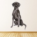 Black Labrador Dog Wall Sticker