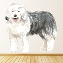 Old English Sheepdog Dog Wall Sticker
