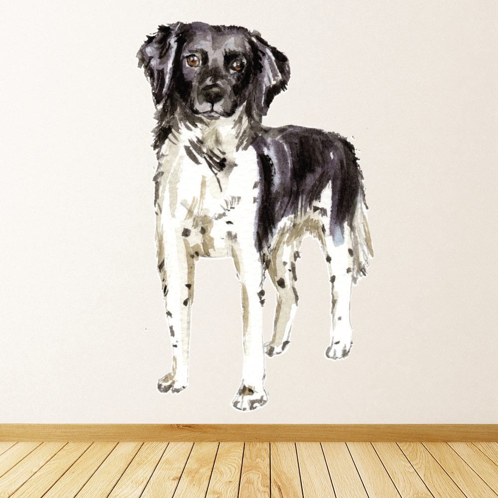 Stabyhoun Dog Wall Sticker