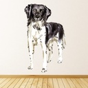 Stabyhoun Dog Wall Sticker