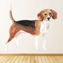 Beagle Dog Wall Sticker - Mod8